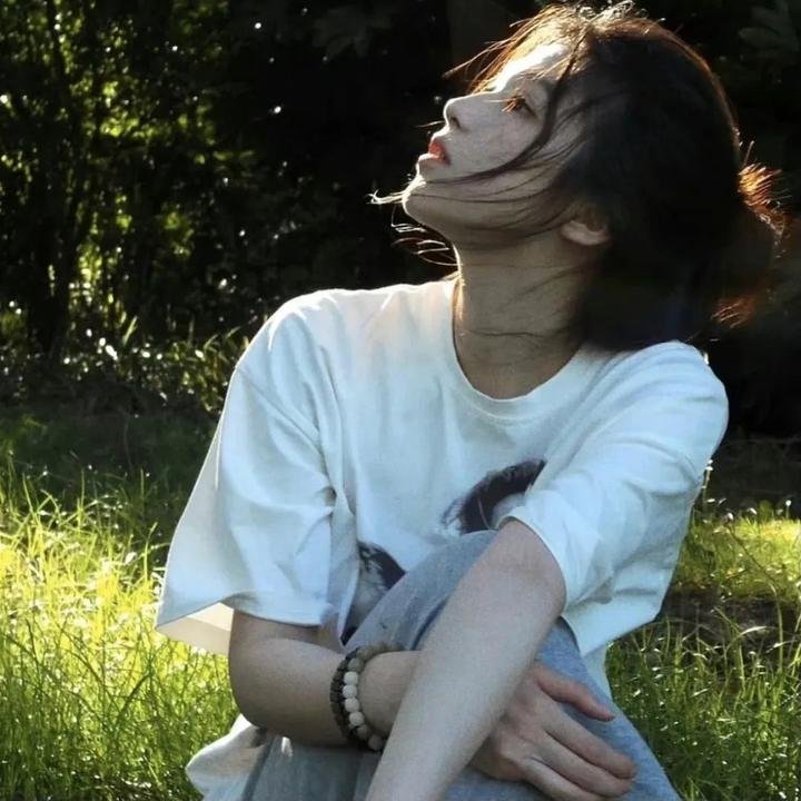 我是一个贼
